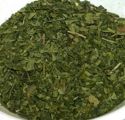 Zhejiang Tencha Yabukita Cultivar 2025056