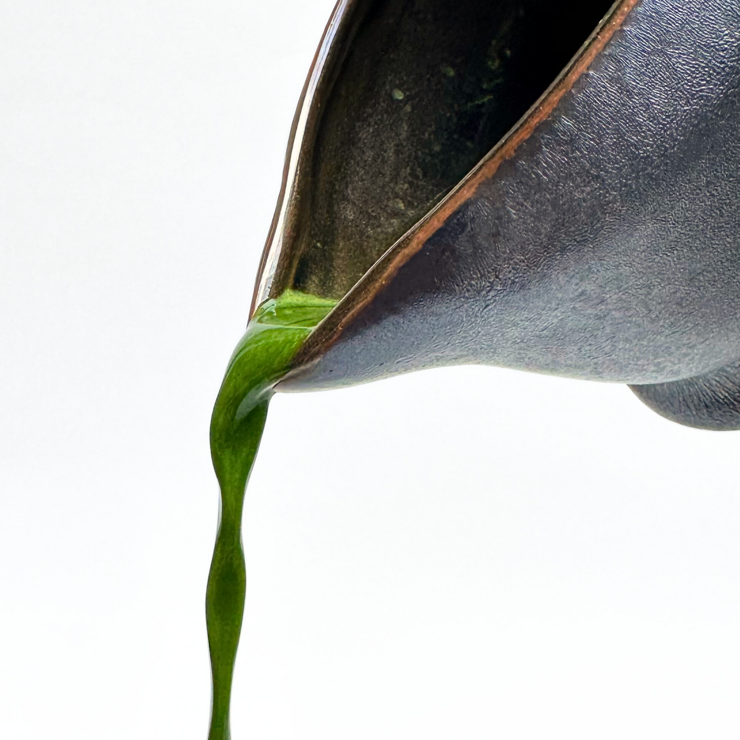 Obsidian, One-Dimensional Matcha Whisking Bowl™